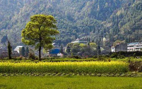 农村“产权证”来了，这三种情况拿不到