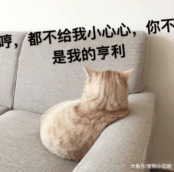 最美身材不再是瘦子了，我来告诉你，肉长对了地方，分分钟秒完瘦子！