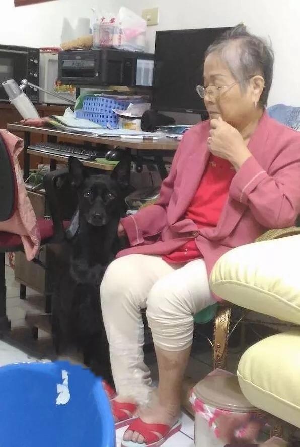 生离死别，医院破例让狗狗来和主人做最后的道别...场面令人动容！