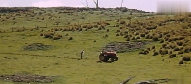 一只让别人讨厌的动物，吃光了这个国家所有的草，饿死了珍稀动物