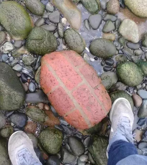 20张难以置信的照片，证明大自然无所不能！