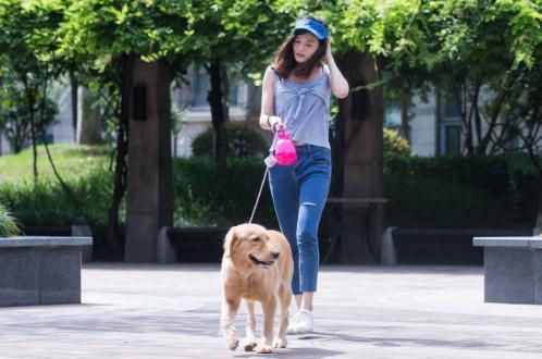 遛狗时间透露了你的生活习惯，还有你养的什么狗，一眼就能认出来