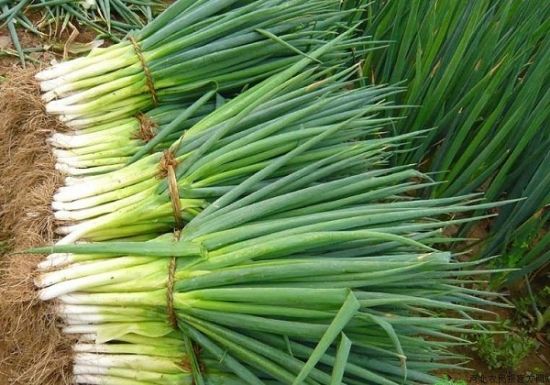 三四线楼市或将在2020年迎来“葱价房”！