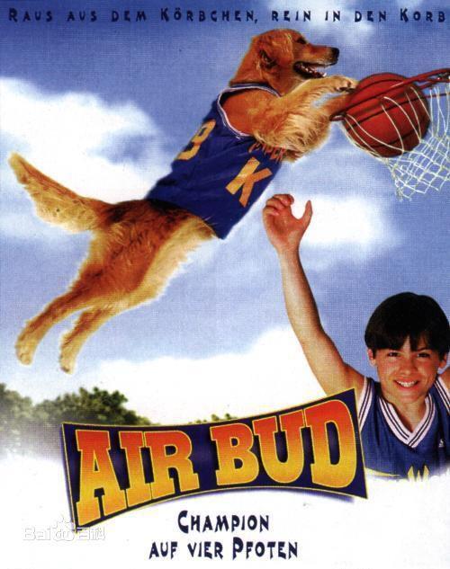 追忆童年, 有狗狗陪伴成长