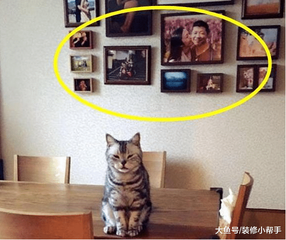 演員姚晨的房子裝修，墻壁掛滿跟老公的合照，整體裝修很普通