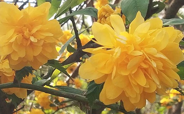 今年五一自驾出游成本将增加