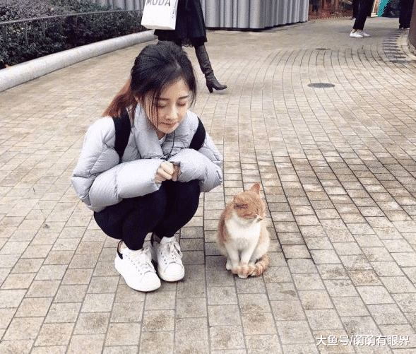 冯提莫搭讪流浪橘猫，却被一脸嫌弃：啥网红？分明在蹭我橘猫的流量