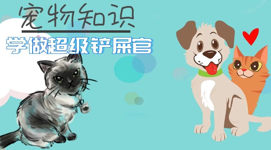 刚到家的狗子，如何让它们记住自己名字，让铲屎官呼之则来