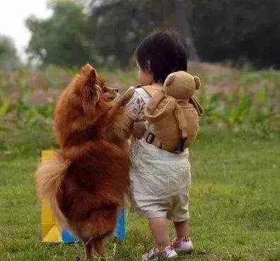 狗狗趴在怀孕女子肚上，被腹中孩子踢了一脚，瞬间懵逼