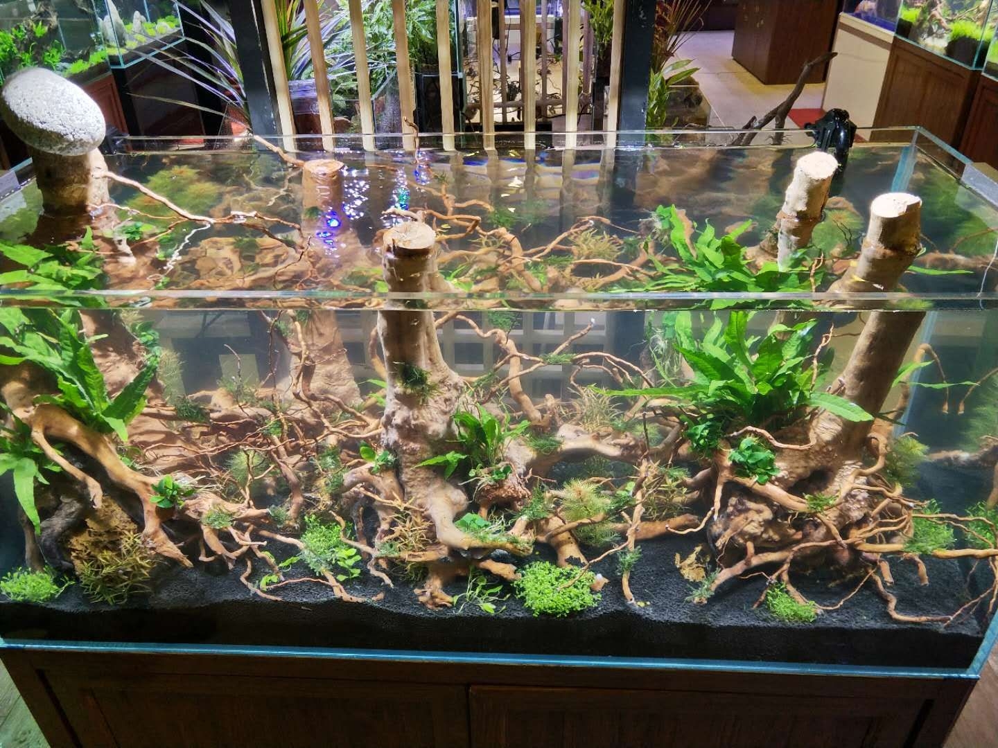 接受各位前辈的批评与指教