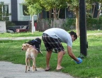 养狗会有这5个“副作用”，时间越久就越严重，有狗的人都逃不掉