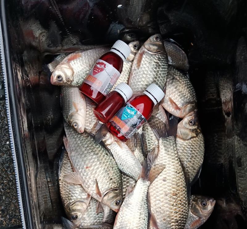 电鱼违法不允许！不少人都在用新式“钓鱼神器”，轻松爆炉不是梦