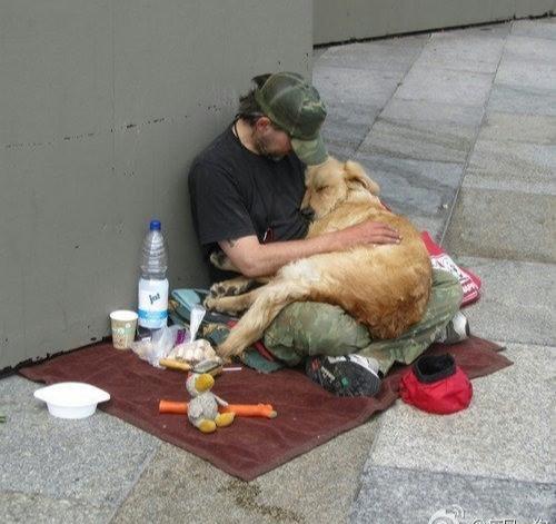 为什么说狗不嫌家贫？也许这就是土狗最好的证明吧