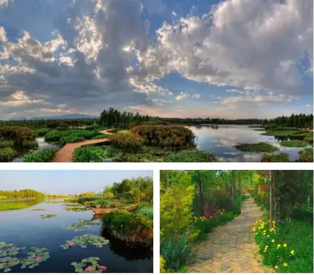 荣获中国公益节三大奖项, 俊发为美好而来