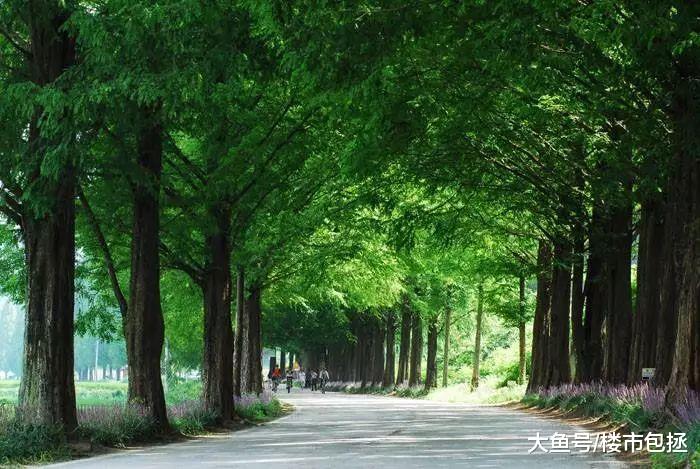 34年积淀，与深圳共同成长！这片区域将爆发成为世界级生活圈！