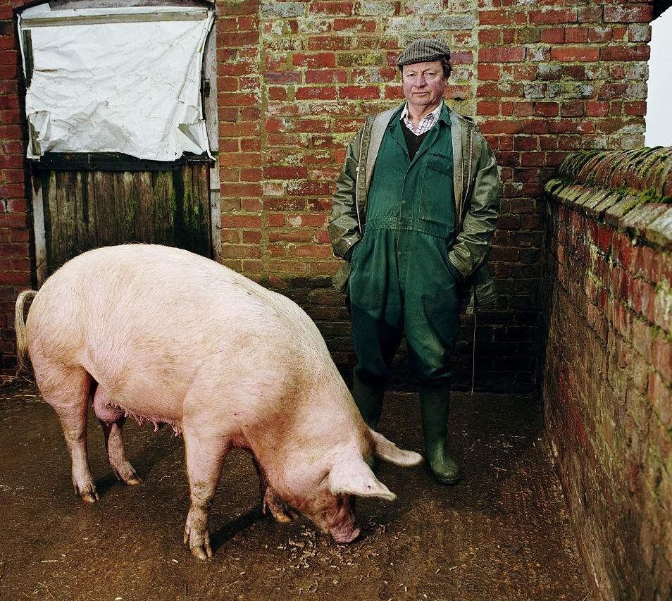 豬能活多久？一頭準備賣的豬，被他相依為命在山里養了21年