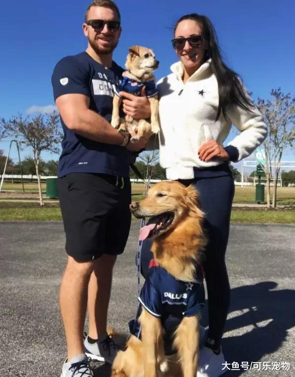 一只被养成猪的狗，出门都要小推车拉着，却帮助主人走向人生巅峰