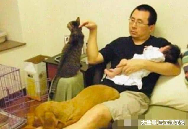 爸爸每年抱着女儿拍照，记录10年的变化，看完泪目：宠物都老了