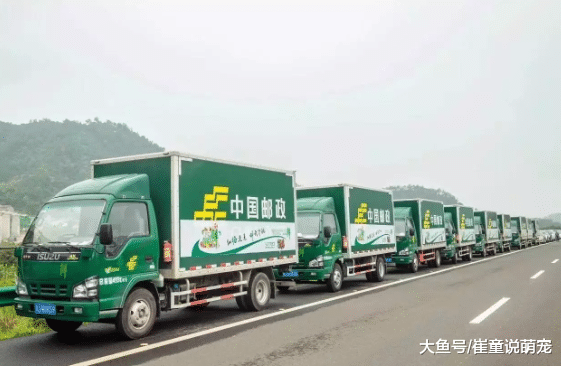 快递行业竞争很激烈，为什么邮政却从不打广告，难道不怕被淘汰？