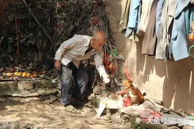 女孩将父亲接走后忘记了带小狗, 一个月后, 狗狗变成了这样子