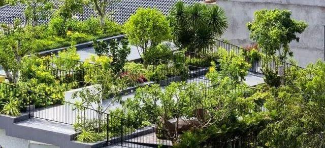 建个乡下房，美过大别墅！