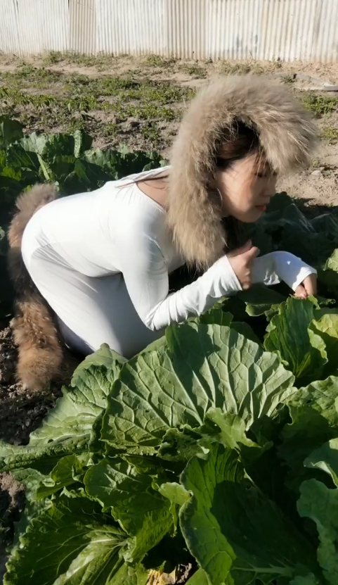 菜地里的美女，打扮成这样是在模仿小狐狸吗？