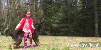 有女儿的人家一定要养一只大狗
