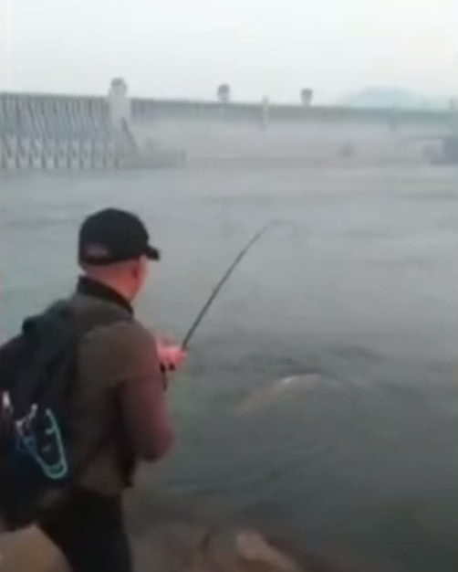 男子禁渔期钓起50斤“水老虎”，朋友圈炫耀被抓，引网友热议