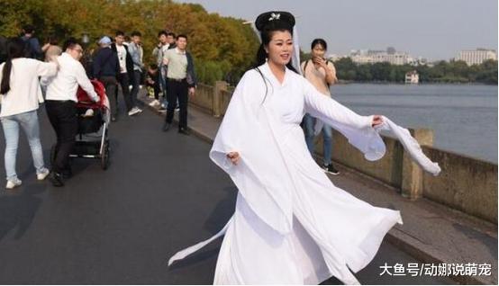 白娘子现身西湖断桥，游客争相与她合影，网友：你怎么肿了！