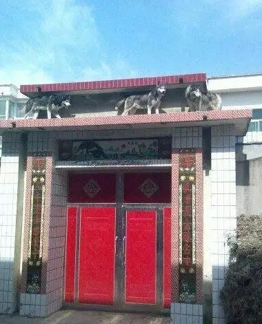 冬天来了, 哈士奇和火锅最配了, 走起! ! !