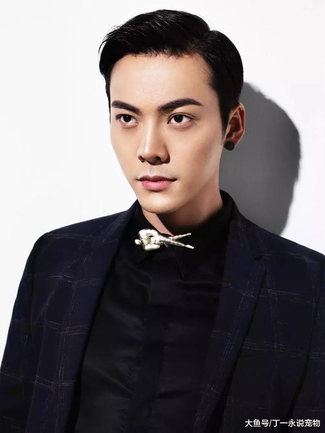 王宝强不是唯一的低学历明星，没想到陈伟霆的学历真让人尴尬