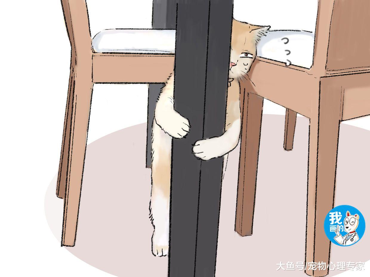 仓鼠无故去世，妹子哭得一把鼻涕一把泪，瞅了一旁直言破案了