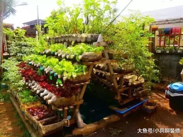 公婆进城后闲不住，阳台这么多种菜，一年都不用买蔬菜了！