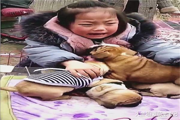 宝宝看到小奶狗要被出售，赶紧揽入怀中不舍得被卖出，画面好有爱
