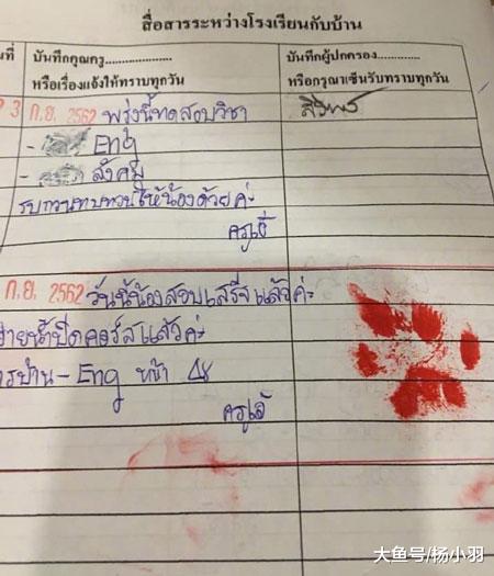 猫咪的用途在熊孩子那得到升级，从“陪读生”荣升代签“家长”