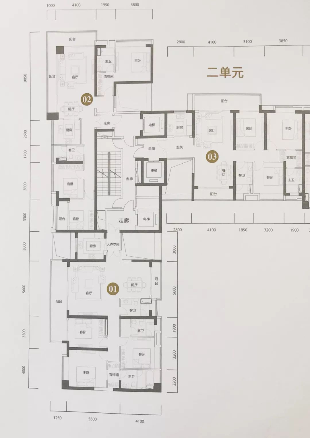 冲3万？冲4万！南沙为何牛气冲天