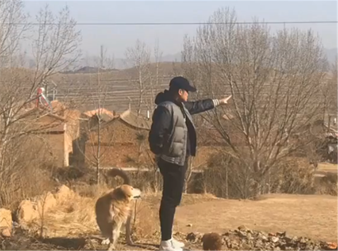 主人給狗梳毛遭拒絕，使出擒拿手將狗制服，狗：推拿變成了擒拿…