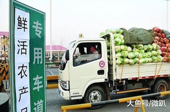 农民几分钱都卖不掉烂地里, 城里的蔬菜水果却贵到吃不起? 揭秘