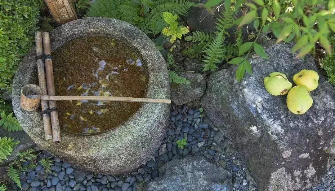 廚房搬進庭院 · 有酒有肉有故事