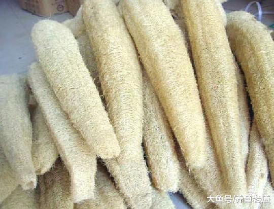 清理鱼缸壁不一定使用磁力刷，以下这些神器都很好用，价格还便宜