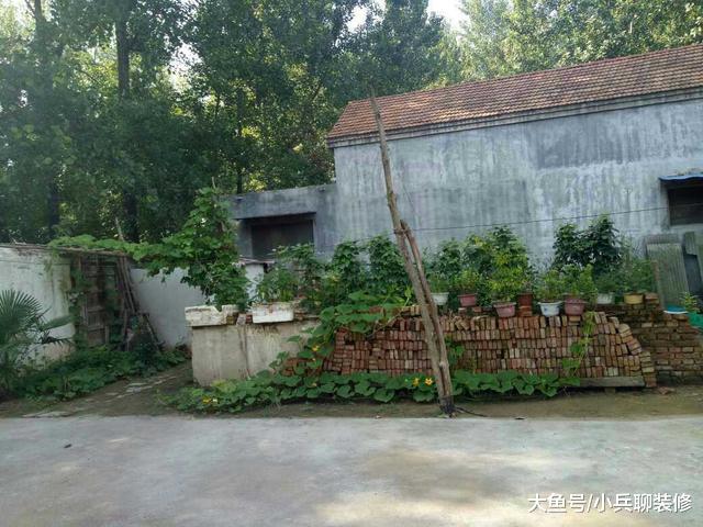 逃离大城市，回到农村的感觉真好，晒晒我家600平的农村小院