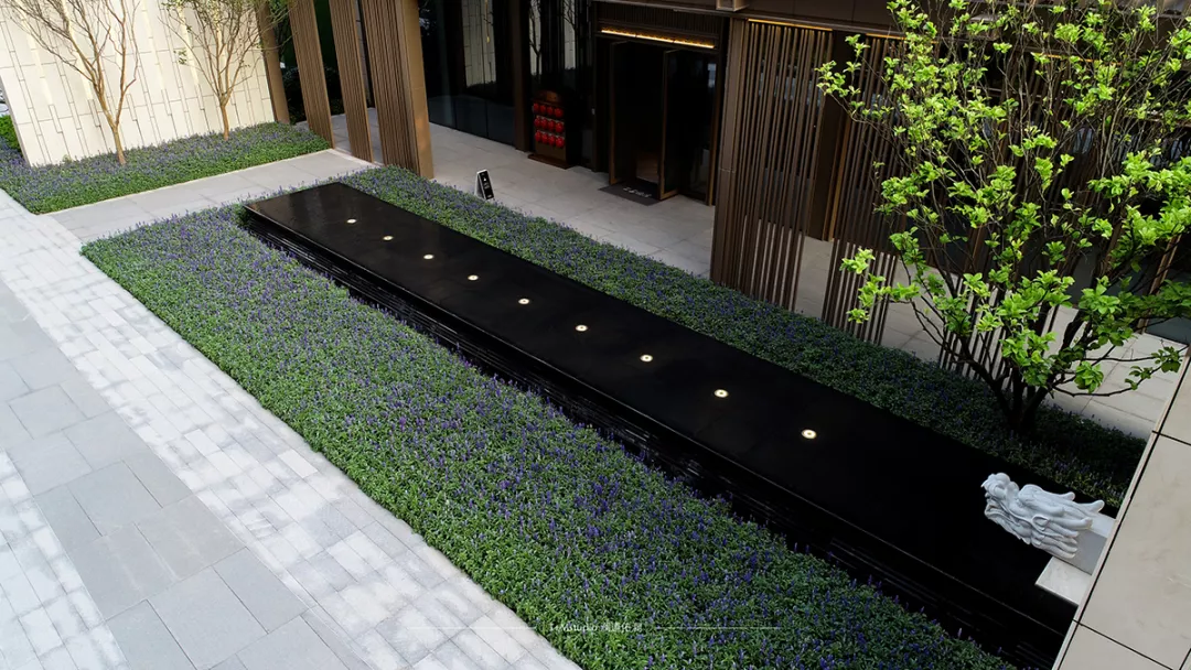 以水定鲲，寻鲲踪迹丨苏州中海·青剑湖上园湾