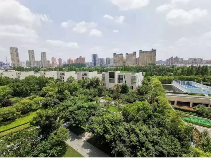 盘点闵行金虹桥板块新房！新入市精装房只卖毛坯价