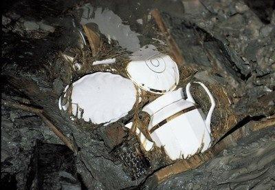 女子带“玉蝉”鉴宝，称已经佩戴了１０年，专家：你胆子可真大！