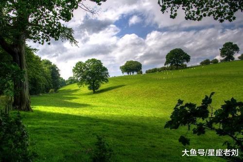 10月下周起，努力向前，事业逢机遇，将有收获的4大星座！