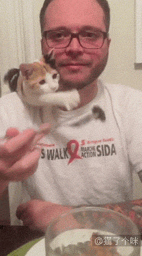 一到夏天，鸡窝的买家秀全是猫