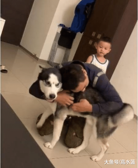 爸爸回来了！月月狂撞怀里讨抱，亲儿子被晾一边小脸超委屈