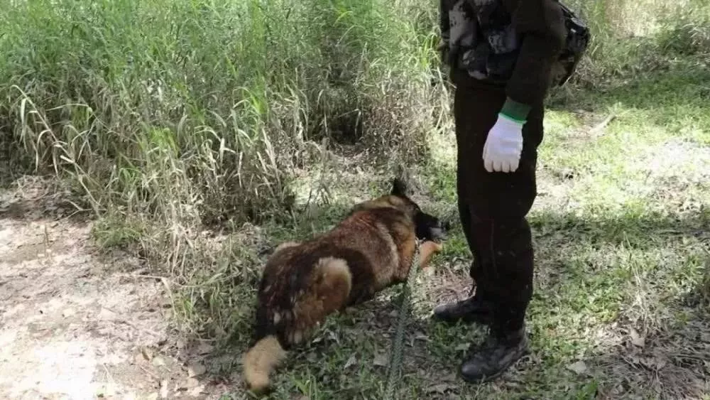 八一，向无言的战士致敬！