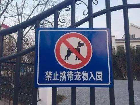 盤點6種養狗人的通病，看看你占了幾條？