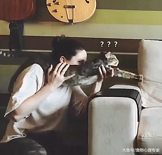 女子把猫主子扛在肩上，理由令人无语：活着不好吗？